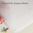 Entretela Termocolante