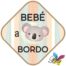 bebe-a-bordo-coala